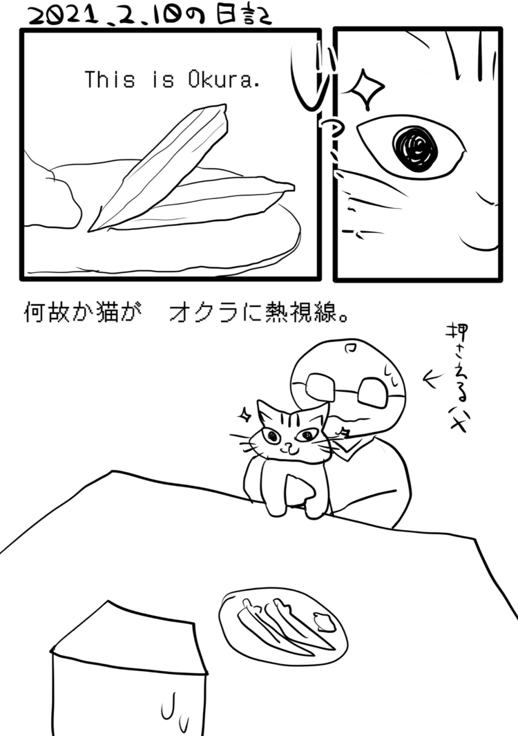 子猫ならではなのかな