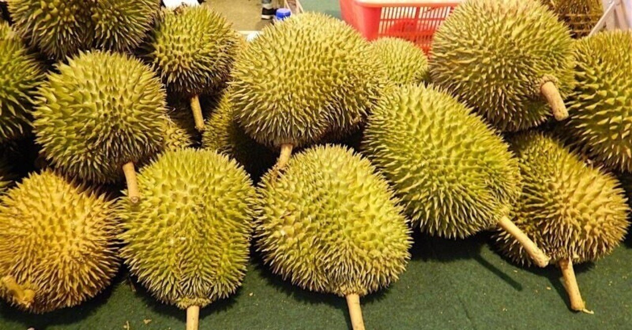 ドリアン、ドリアン！｜島 裕之 Hiroyuki Shima