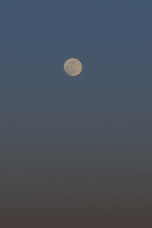 この前撮影した月の写真とグラデーション。
もうちょい月が下だと良い塩梅だったかも。

X-T3/16-55mm f2.8

#写真 #fujifilm #xt3 #夕焼け