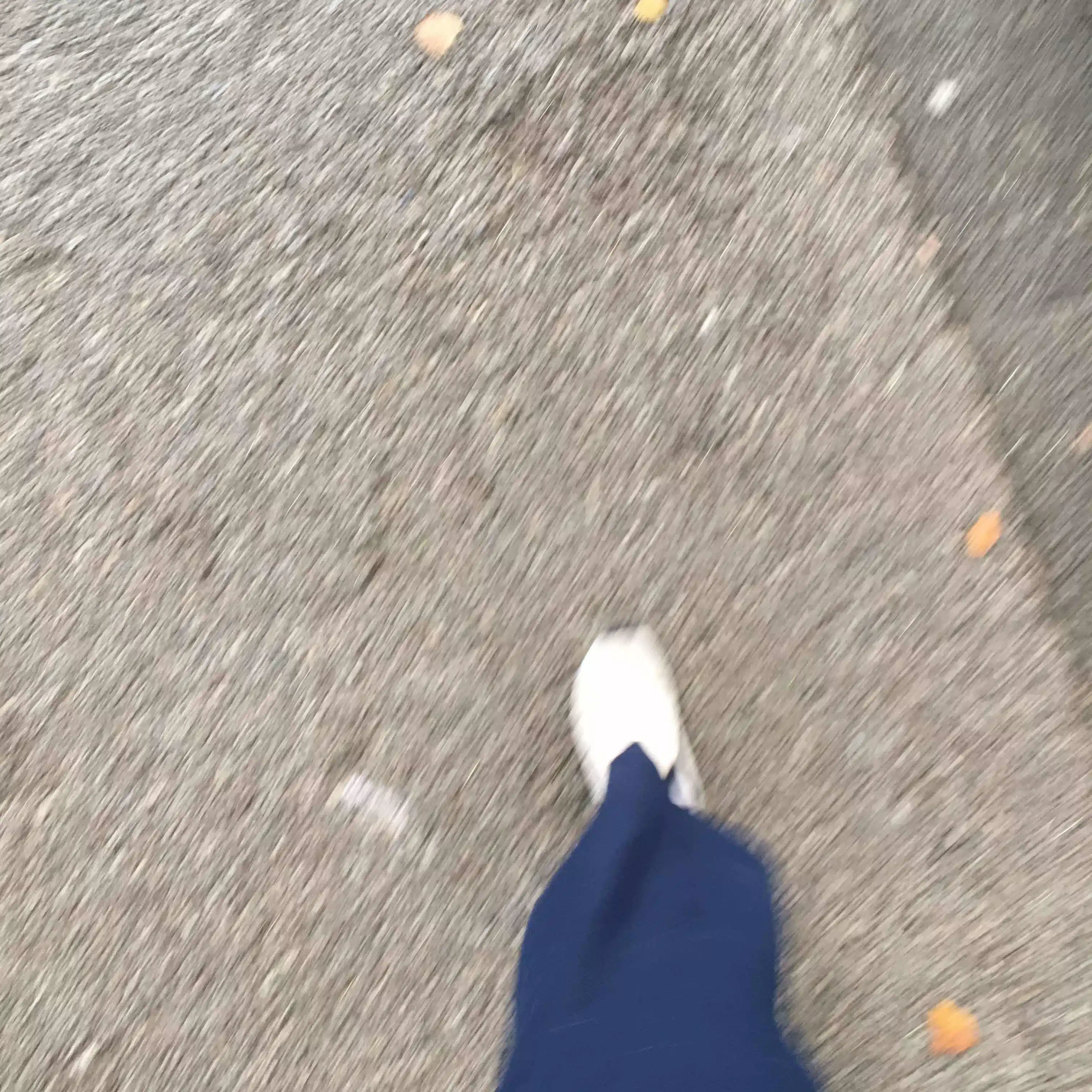 こたつ