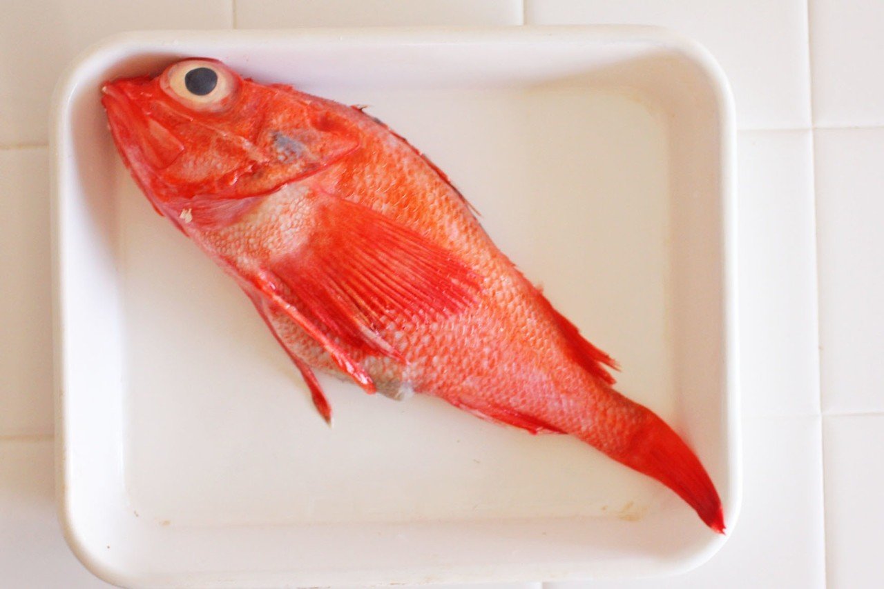 極道の女と極上な魚は惚れたら負け キンキの酒煮 のレシピ 松本純子 Note 極道の女と極上な魚は惚れたら負け キンキの酒煮 のレシピ 松本純子 Note