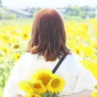 ひまわり🌻