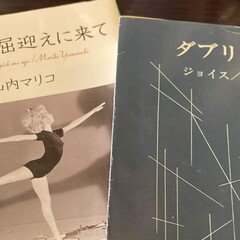 39冊目】日本文学盛衰史 / 高橋源一郎｜Kent Yamasaki