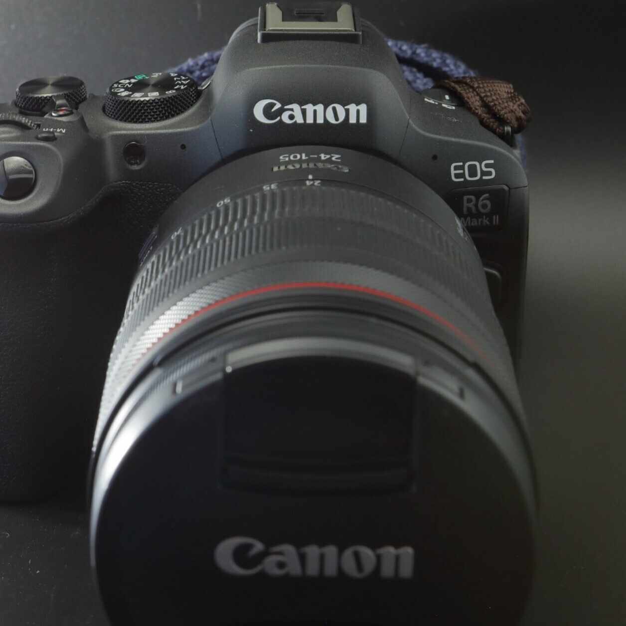 EF100-400mm F4.5-5.6L IS II USM のすすめ｜fun_photo