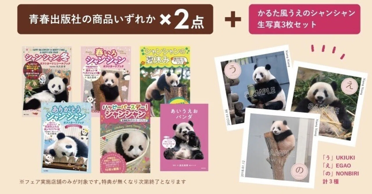 青春出版社「パンダBOOKフェア」開催中！｜上野案内所