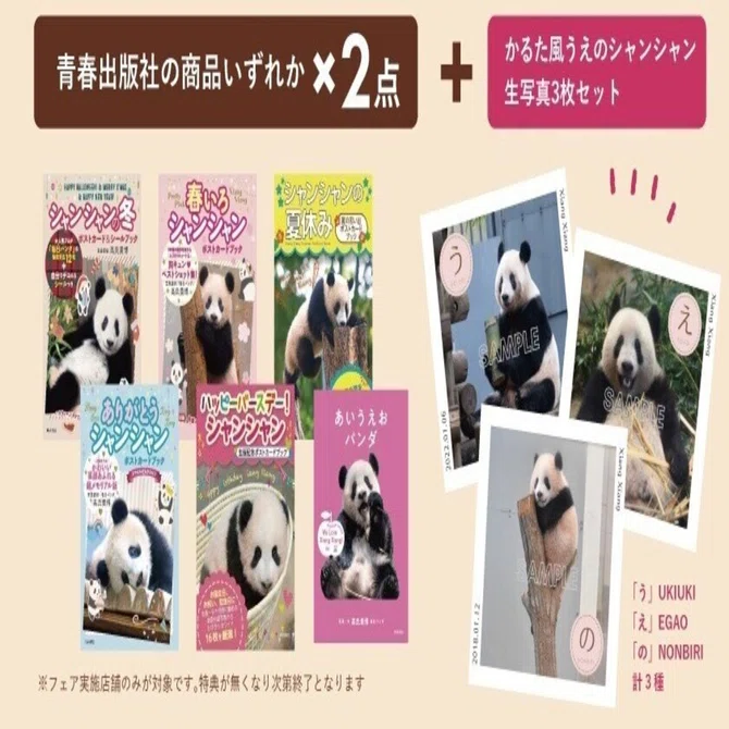 青春出版社「パンダBOOKフェア」開催中！｜上野案内所