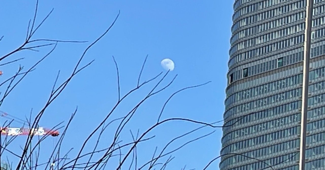 あたしのこれから|roco* |note