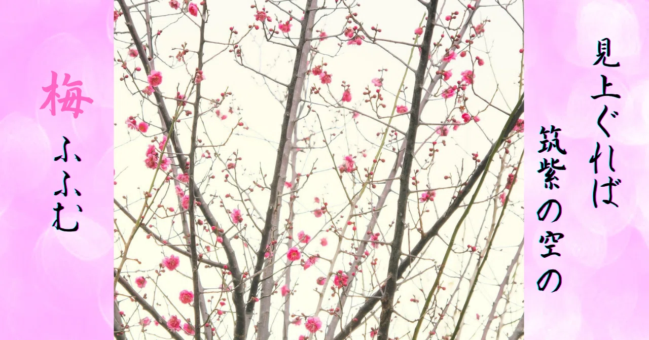 梅 ふ ふむ 俳句