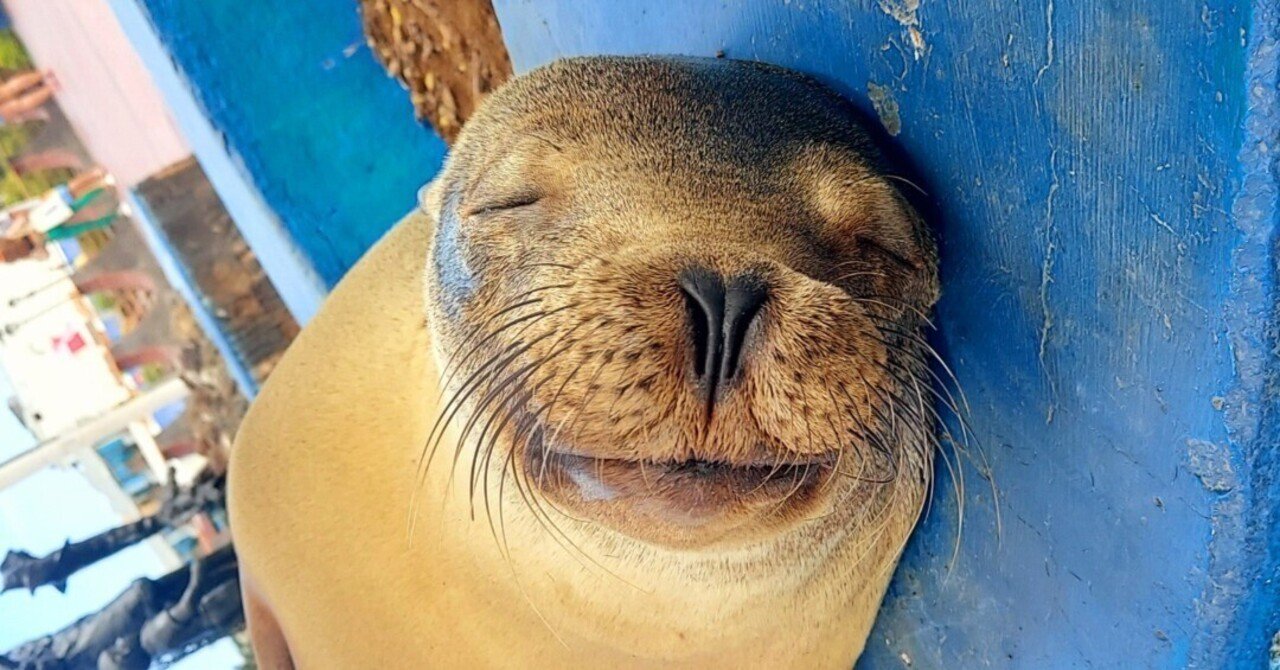 世界初の世界遺産「ガラパゴス諸島」へ キトからバルトラ島 ☆162日目