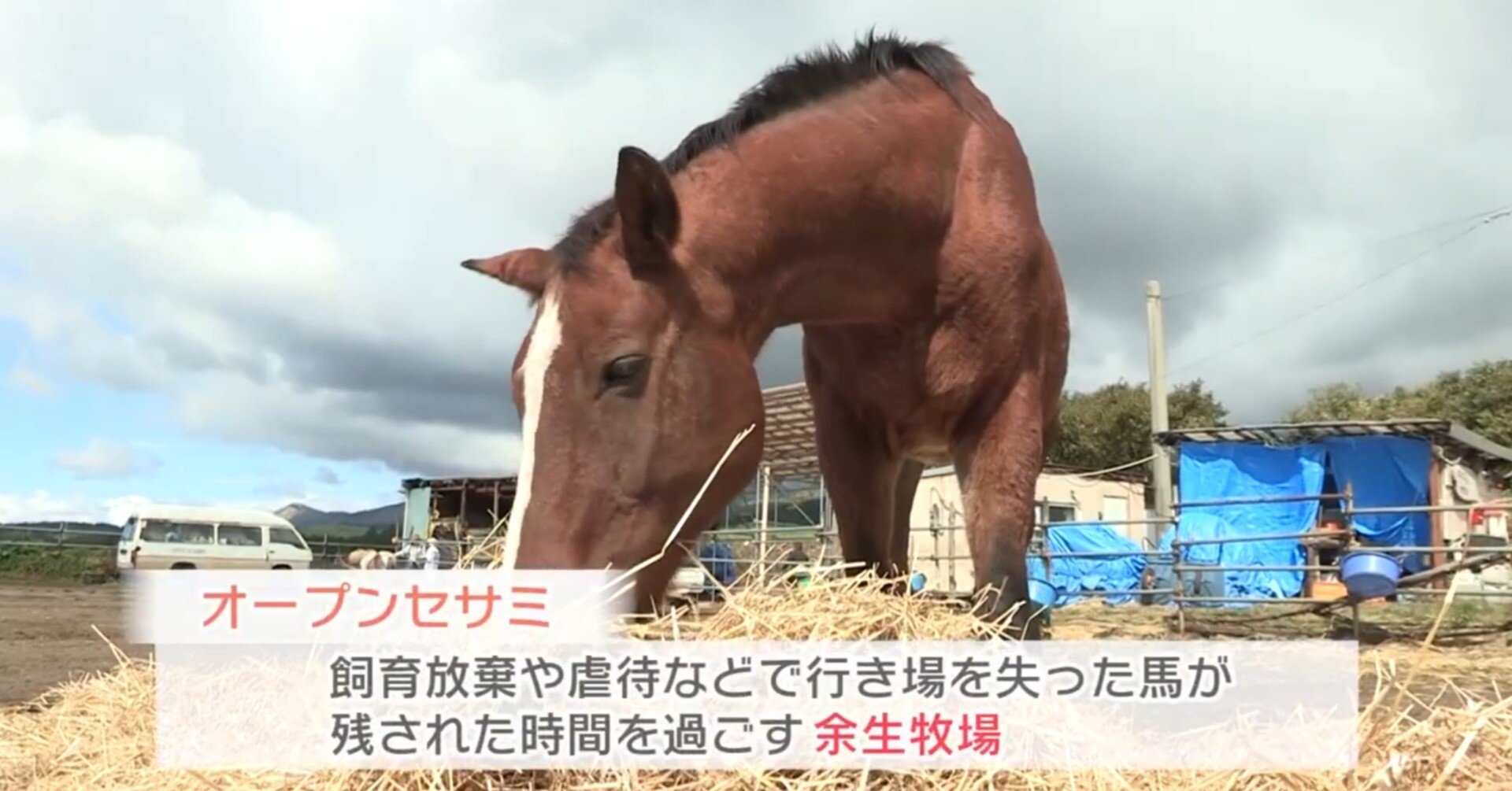 63a7da9b81038350bc50ae0ab4a60b