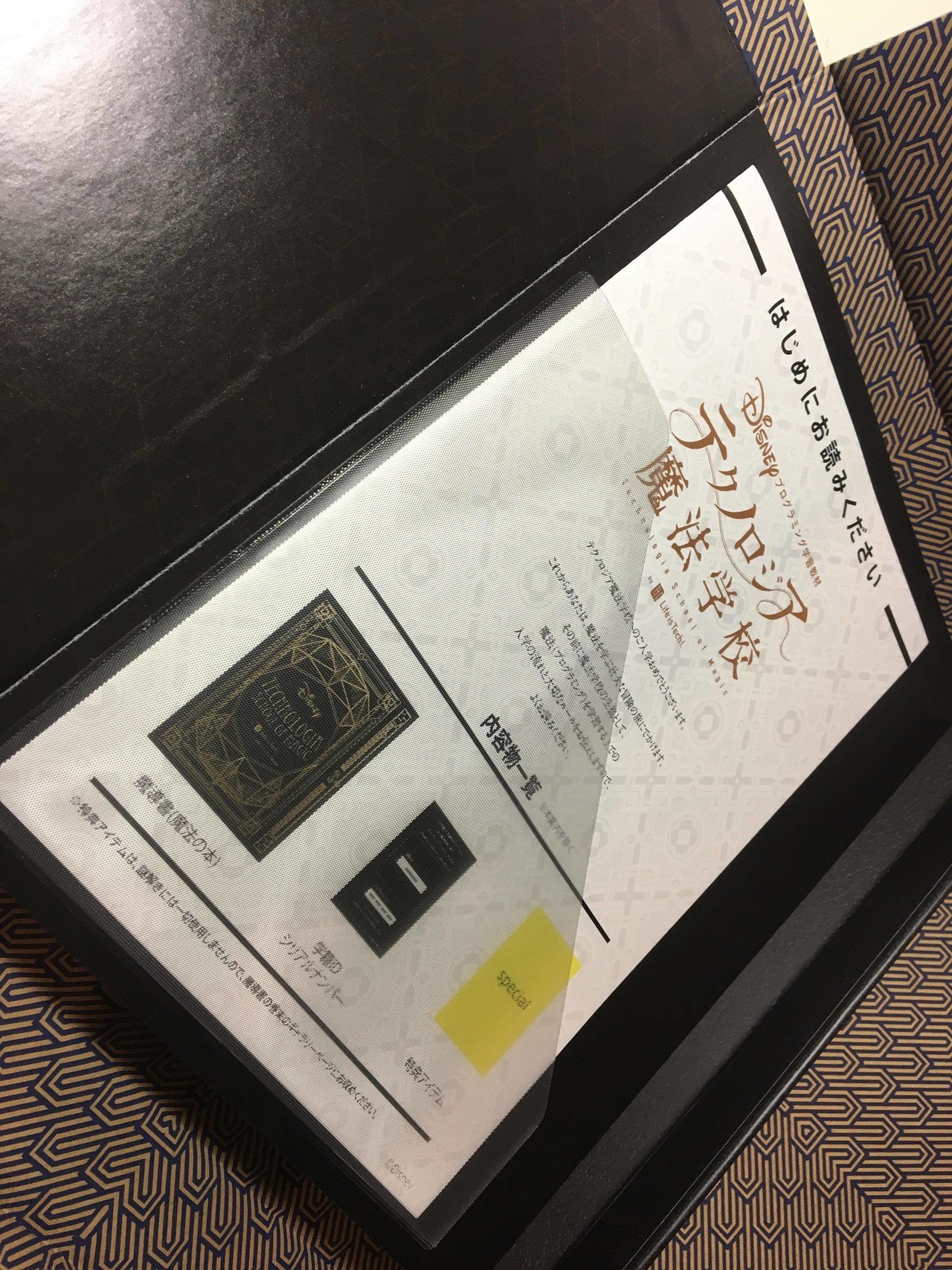 DAY1/入学】ディズニーがそこそこ好きな人がテクノロジア魔法 DAY1/入学】ディズニーがそこそこ好きな人がテクノロジア魔法