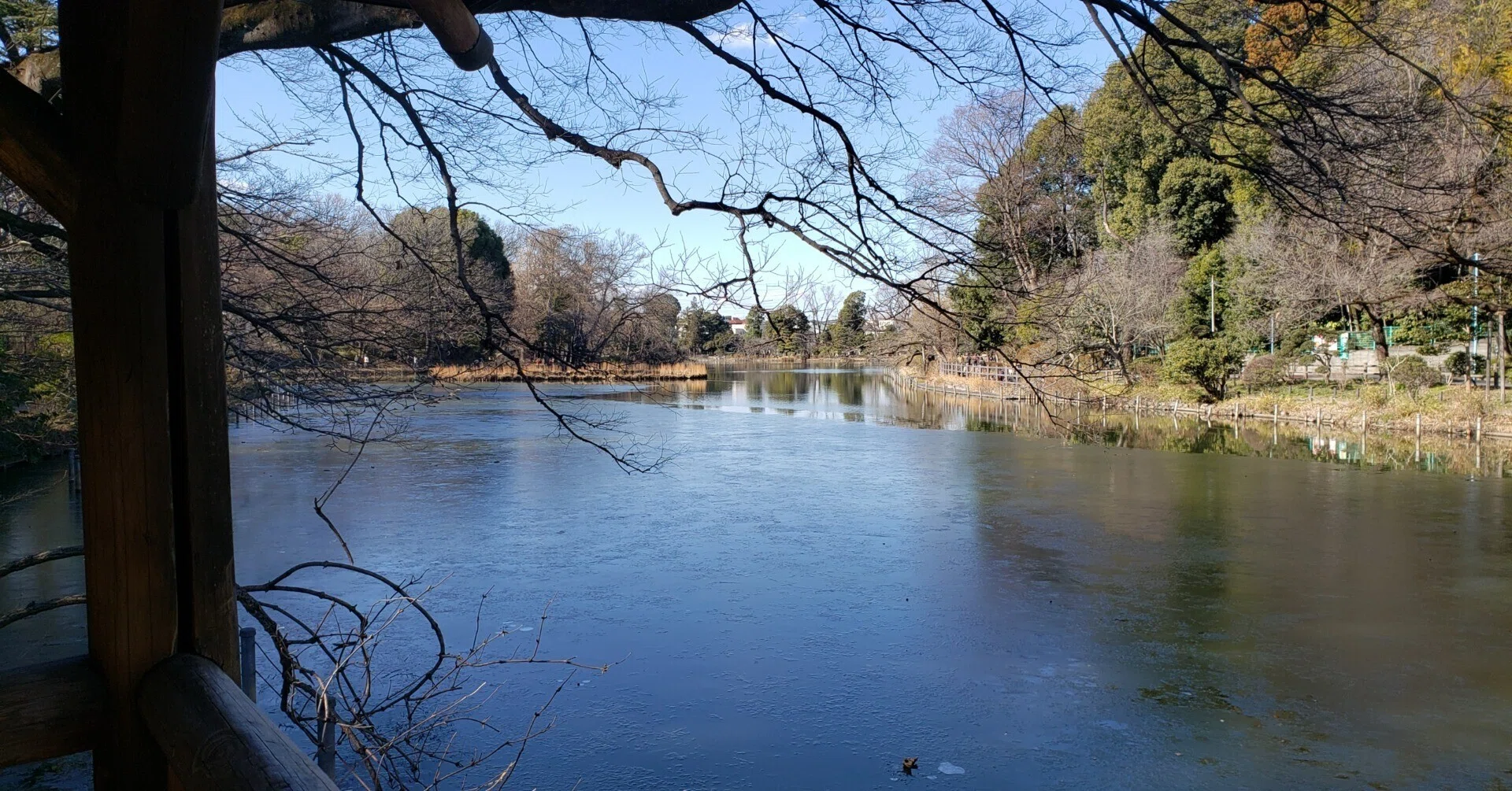 善福寺公園と石神井公園｜pakashi89