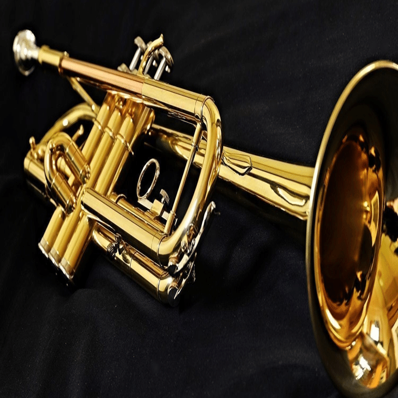 オーケストラの楽器たち 金管楽器編｜Ryo Sasaki