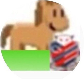 日本ミックスダブルスカーリング選手権は前半3日間が終了 大場 礼 Note 日本ミックスダブルスカーリング選手権は前半3日間が終了 大場 礼 Note