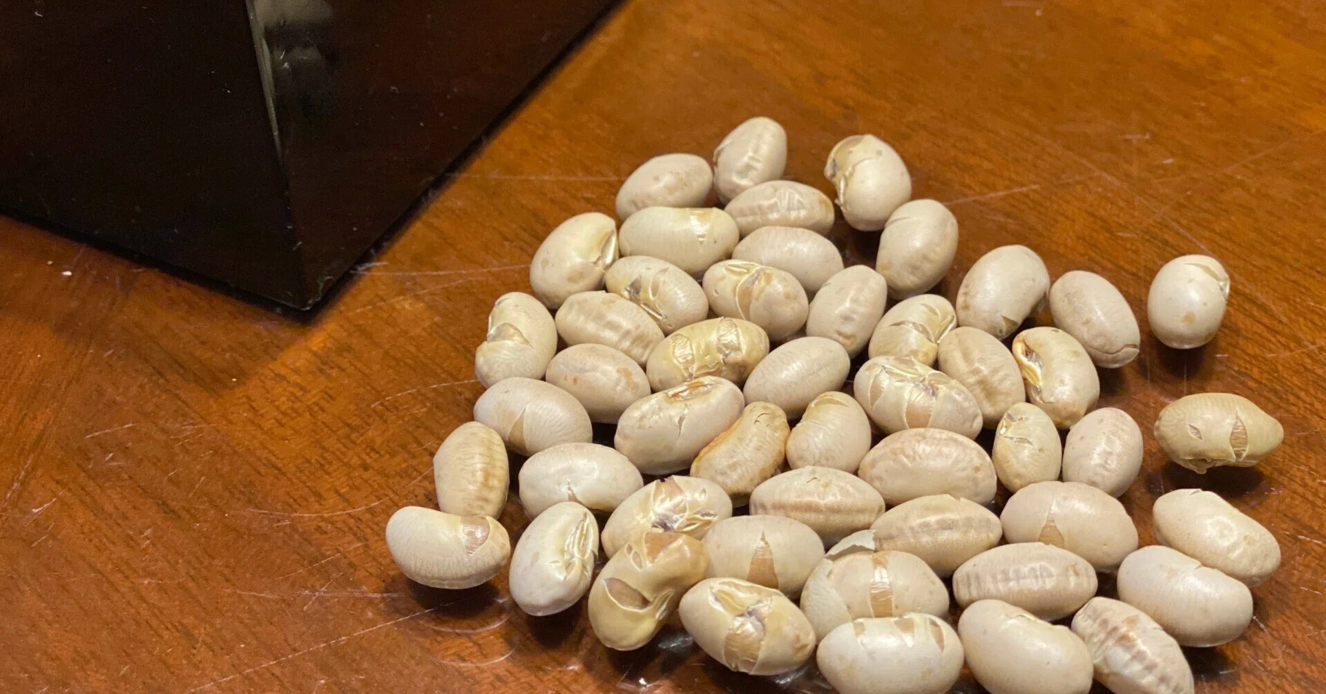 豆 の 数 節分