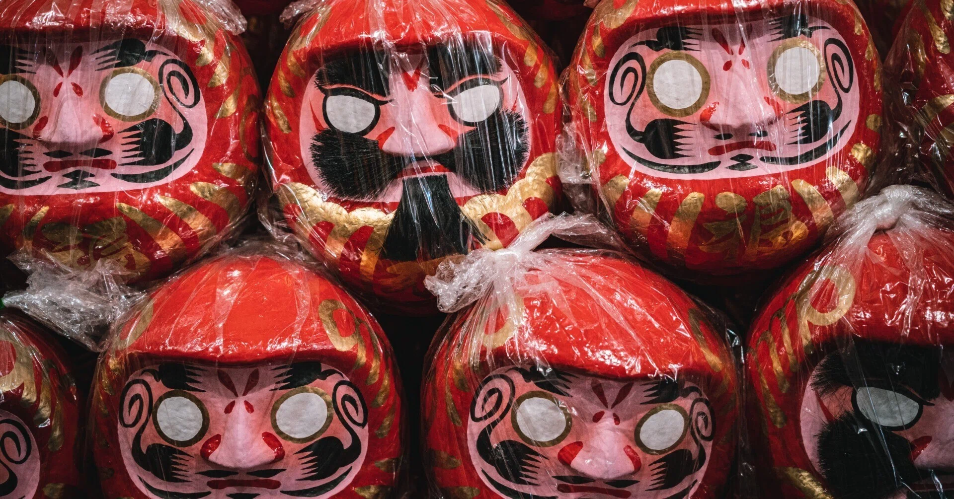 願うは家内安全、ダルマのライフサイクルを知ってるかい？｜阪口せりな