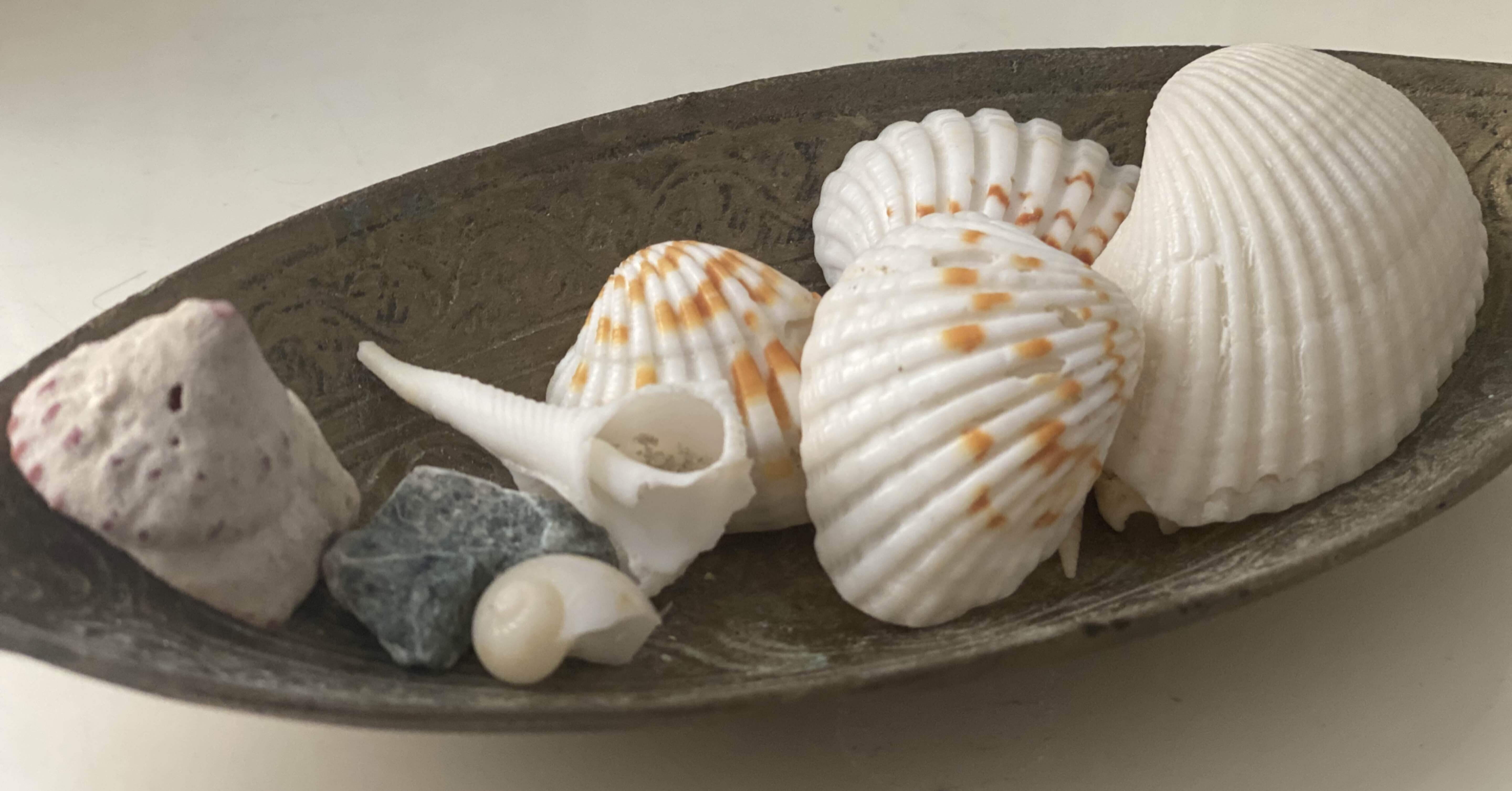 娘の「今一番食べたい日本の食べ物クイズ」に、ほっこり。ドバイのお