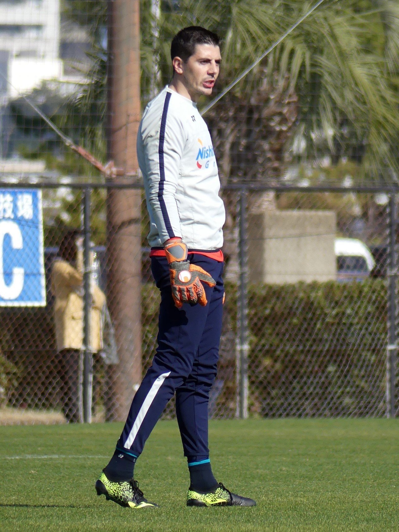 2019 アビスパ福岡 新加入選手まとめ！｜hybrid AVISPA