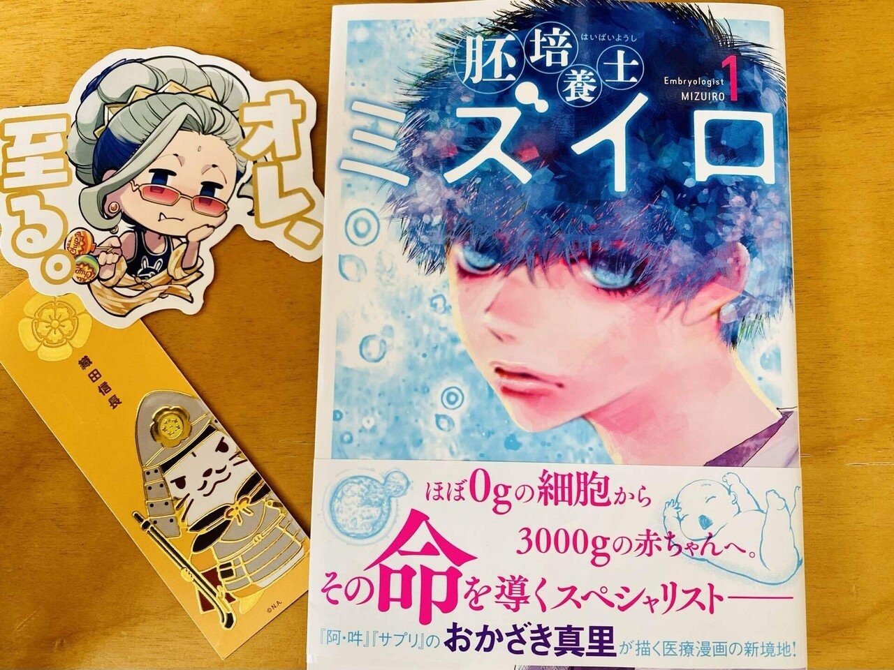 Amazon.co.jp: 胚培養士(はいばいようし)ミズイロ (1) (ビッグ