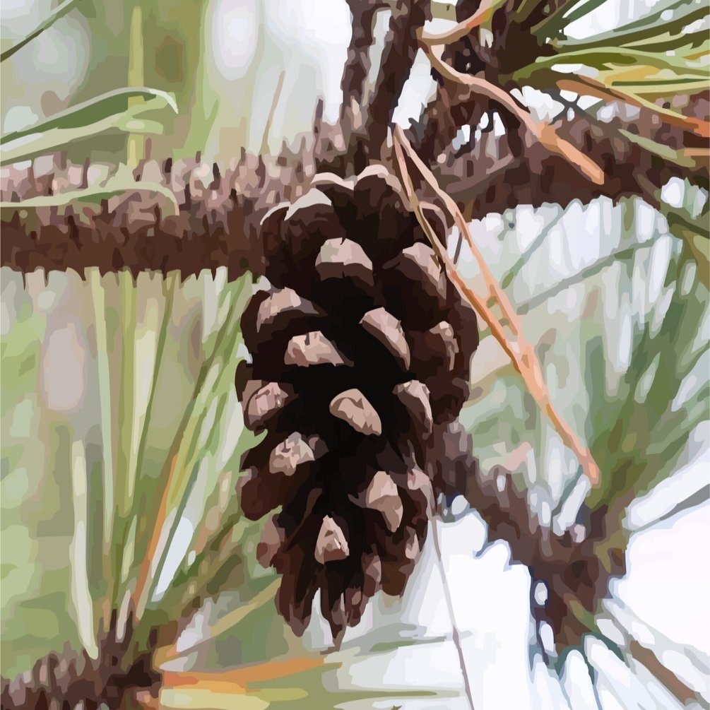 松ぼっくりの”ぼっくり”について｜衒学おやじ・電磁郎の部屋 (Pedantic