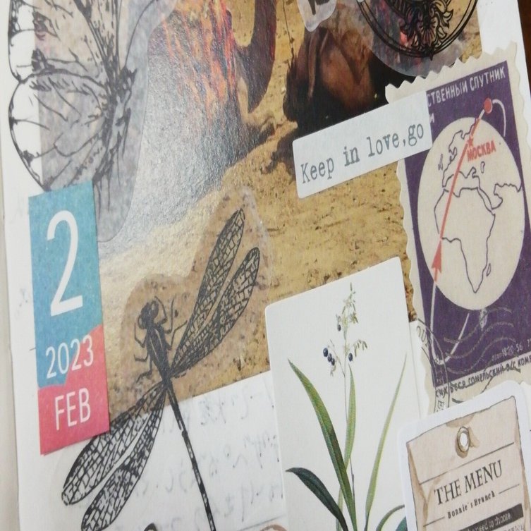 コラージュ素材集め、アイデアあれこれ。｜SHIGE姐さん（守屋