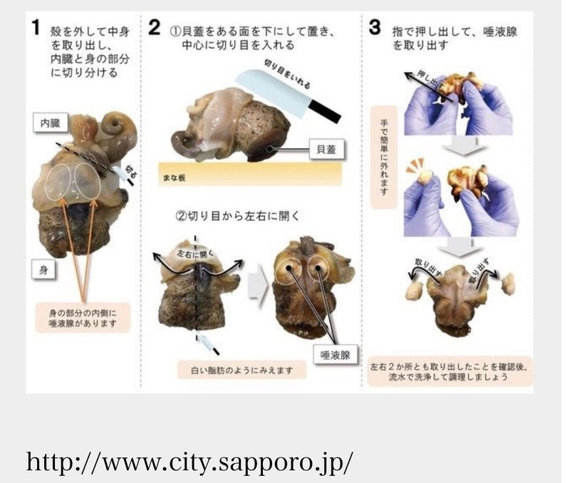 猛毒注意 だけど美味い つぶ貝を食す ゆーたろー 和の料理人 Note
