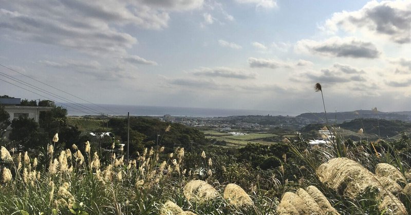 【沖縄南城市】思わぬ散歩で5キロ歩いて見つけた景色