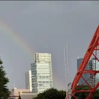 はるよこ