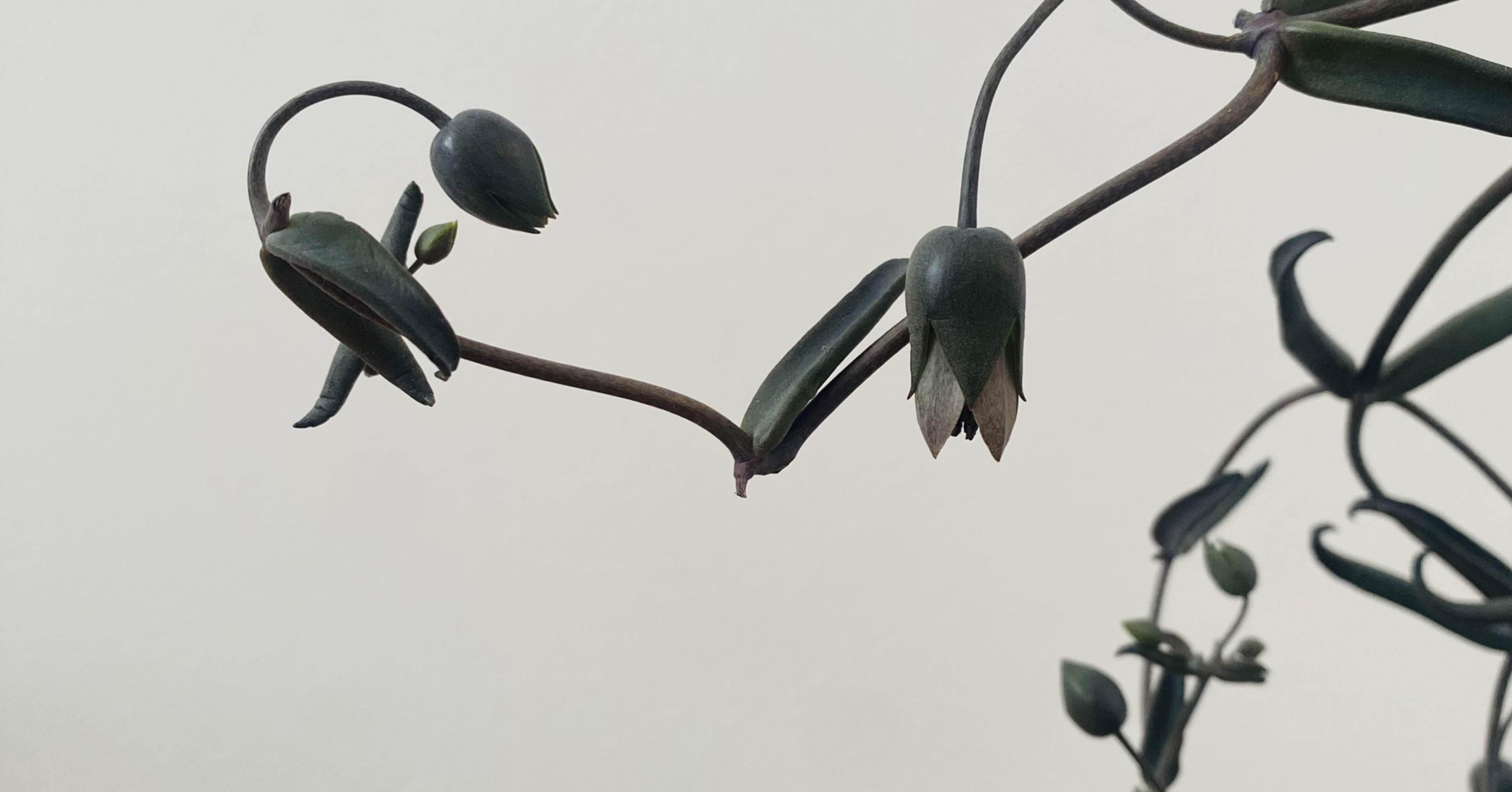 b673c2c0f0d394186902b0092bd78f