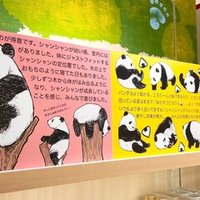 シャンシャンの雪あそび』『飾れる写真集 シャンシャンの中国だ