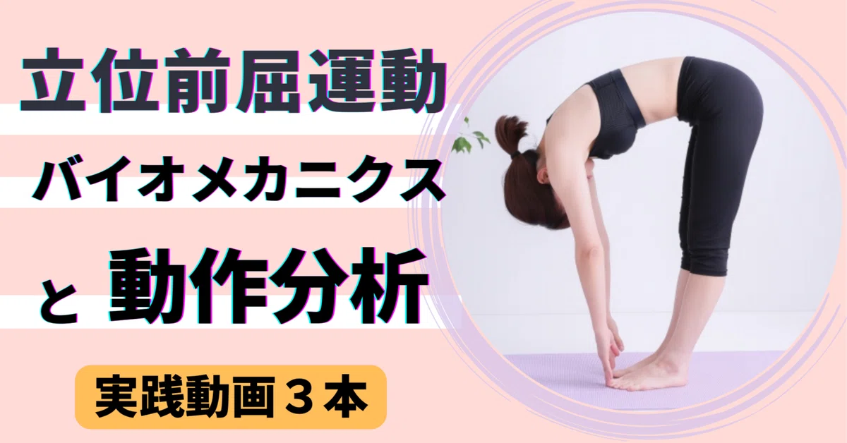 立位前屈運動のバイオメカニクスと動作分析【サブスク】｜理学療法士