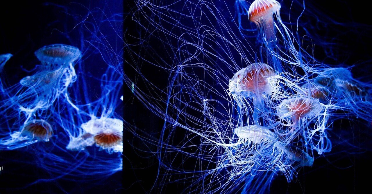 無題 --No．9--｜夢 雨 。 