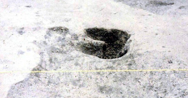 420a7798c5fb5865ac7e8f8f273a8e