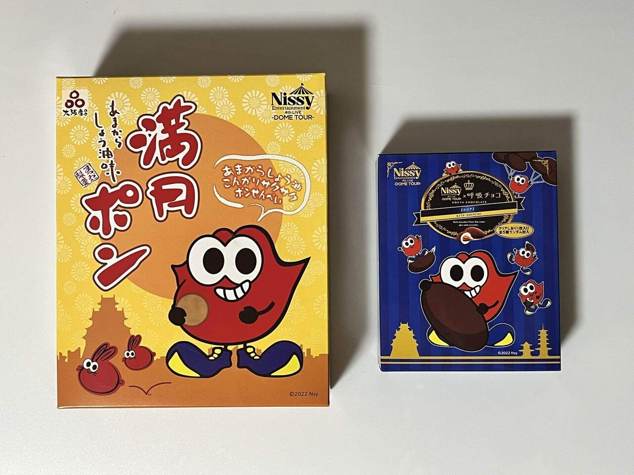 Nissy 4thLIVE 写真集 NEP会員限定】「Nissy Entertainment 4th LIVE〜DOME TOUR