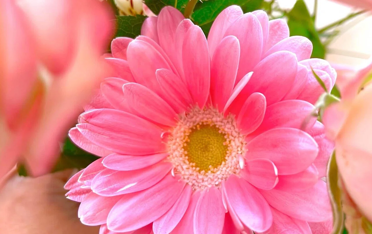 自愛を込めて花を飾る 〜Lovely pink〜｜ちる