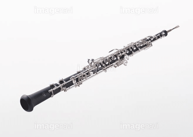 ギネスに載っている楽器