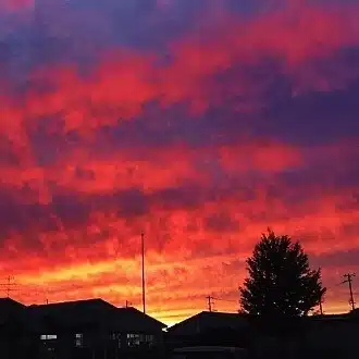 tukito_chiu