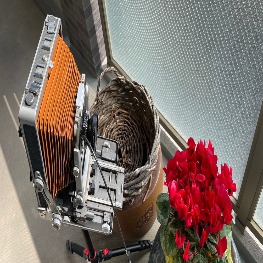 大判カメラの魅力とは？｜怪力熊男