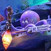 mkitahara / きたはら 