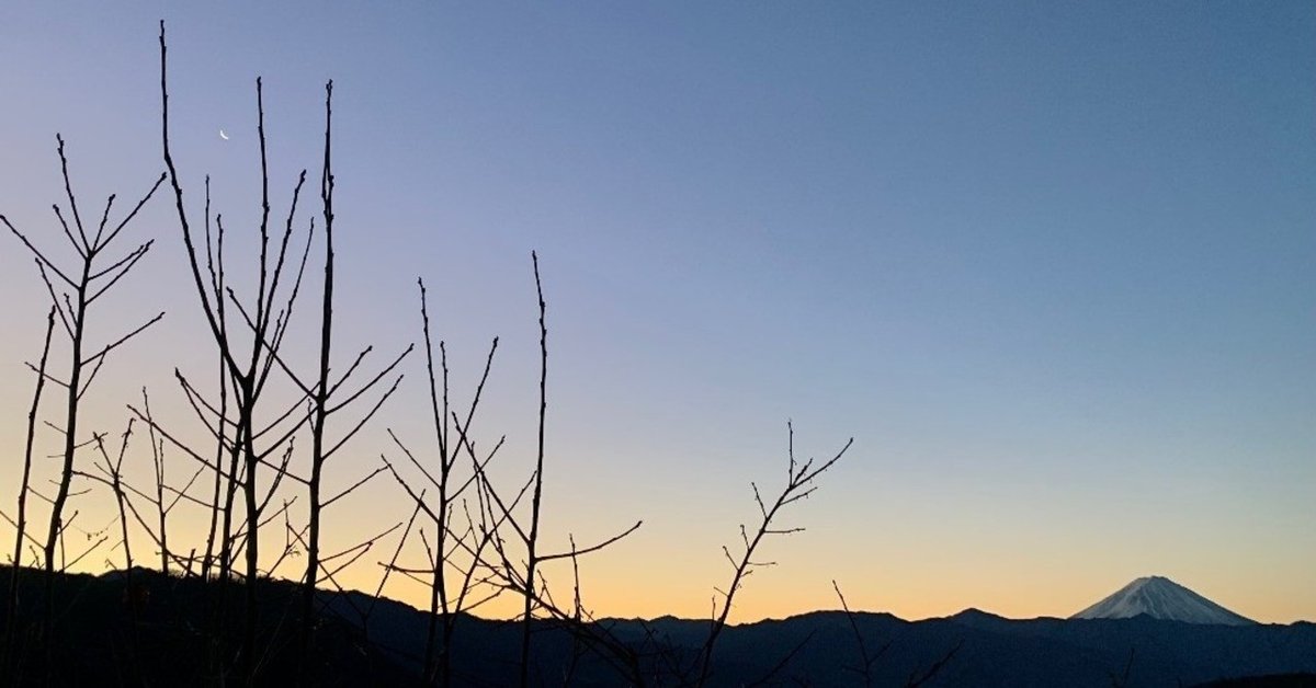 3020 小野雲峰 「彩雲舞丹霄」 共箱 肉筆 紙本 掛軸 臨済宗 大徳