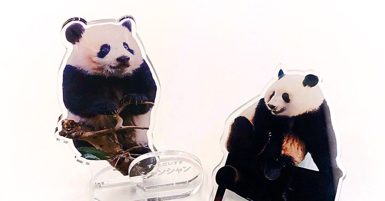 飾れる写真集 ずっとだいすきシャンシャン」について｜上野案内所