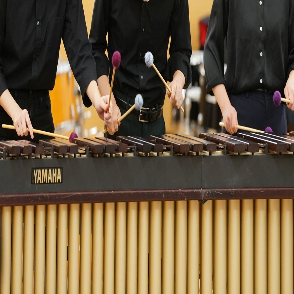 マリンバ 合奏用 バス 【公式通販】