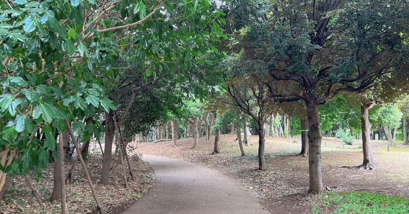 春はもうすぐ！自然豊かな公園をのんびり散策♪