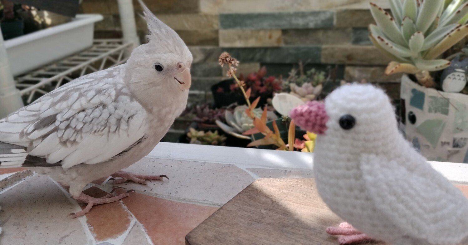 新品★オカメインコ★ルチノー★クリスマス・オーナメント★木製★一点もの★アート★ 新品☆オカメインコ☆ルチノー☆クリスマス・オーナメント☆木製☆一点