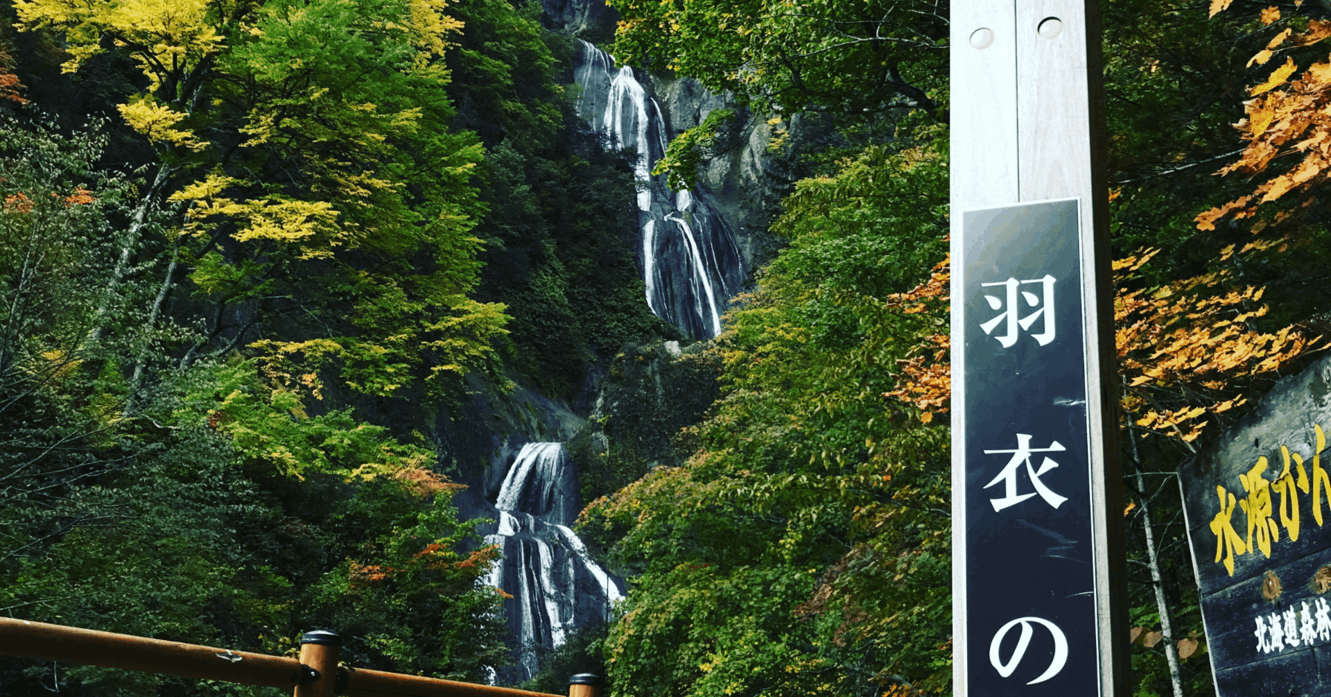 南太平洋旅行専門店 スタッフブログ・BULA VINAKA☆: フィジーの花, image size:1920x1005