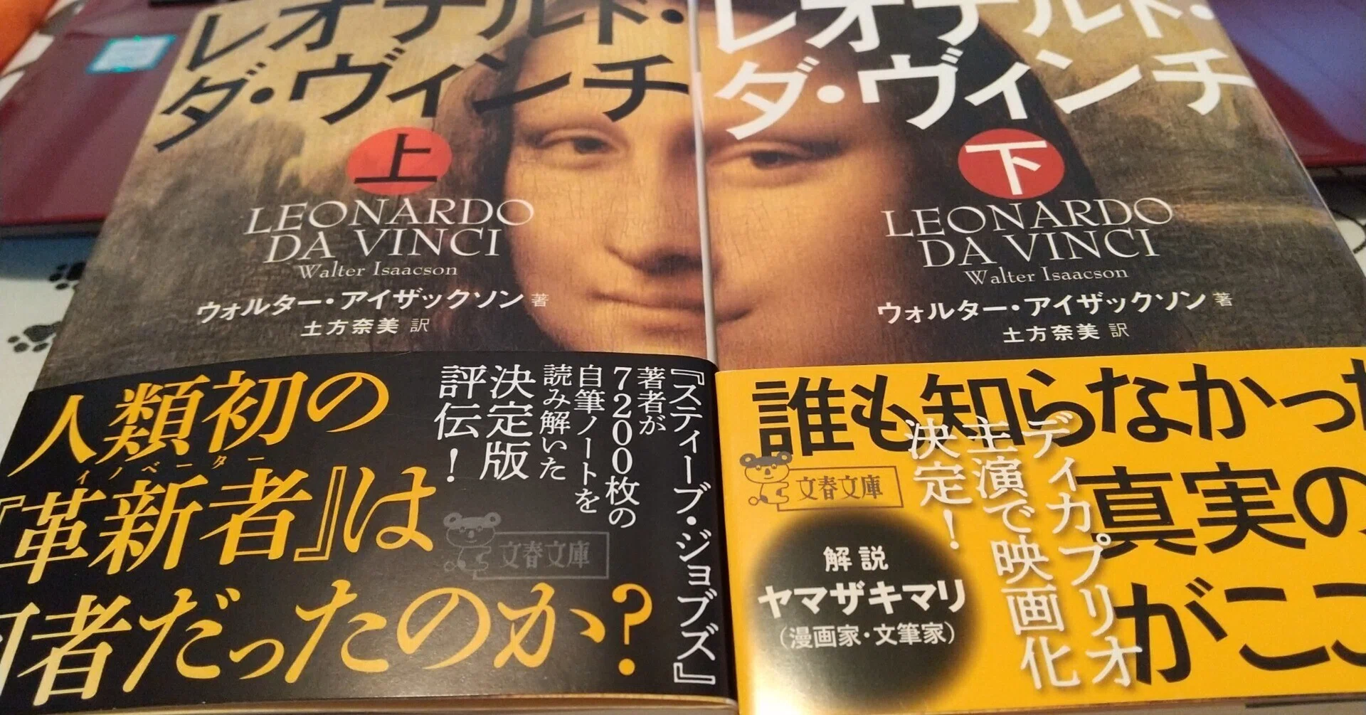 レオナルド・ダヴィンチ』by ウォルター・アイザックソン｜みだれ髪