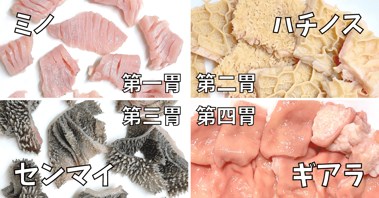 超図解ホルモン!4つの牛胃袋をリアルに解説!|ホルモンもいしょう 超図解ホルモン!4つの牛胃袋をリアルに解説!|ホルモンもいしょう