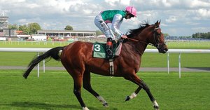 サラブレッド系統分類 まとめ｜mokomoko競馬研究所