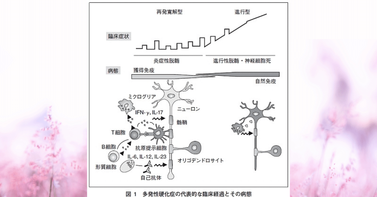 何が原因でしょうか?