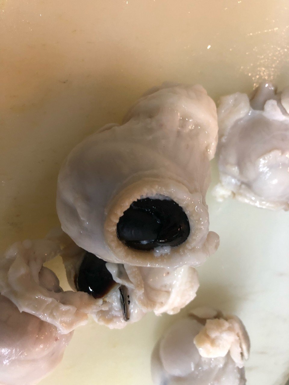 タコトンビ クッキングおじさま Note タコトンビ クッキングおじさま Note